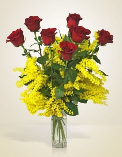 7 rose rosse con mimosa 